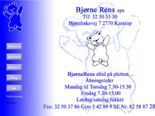 Bjørne Rens & Vask ApS