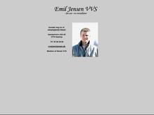 Emil Jensen VVS